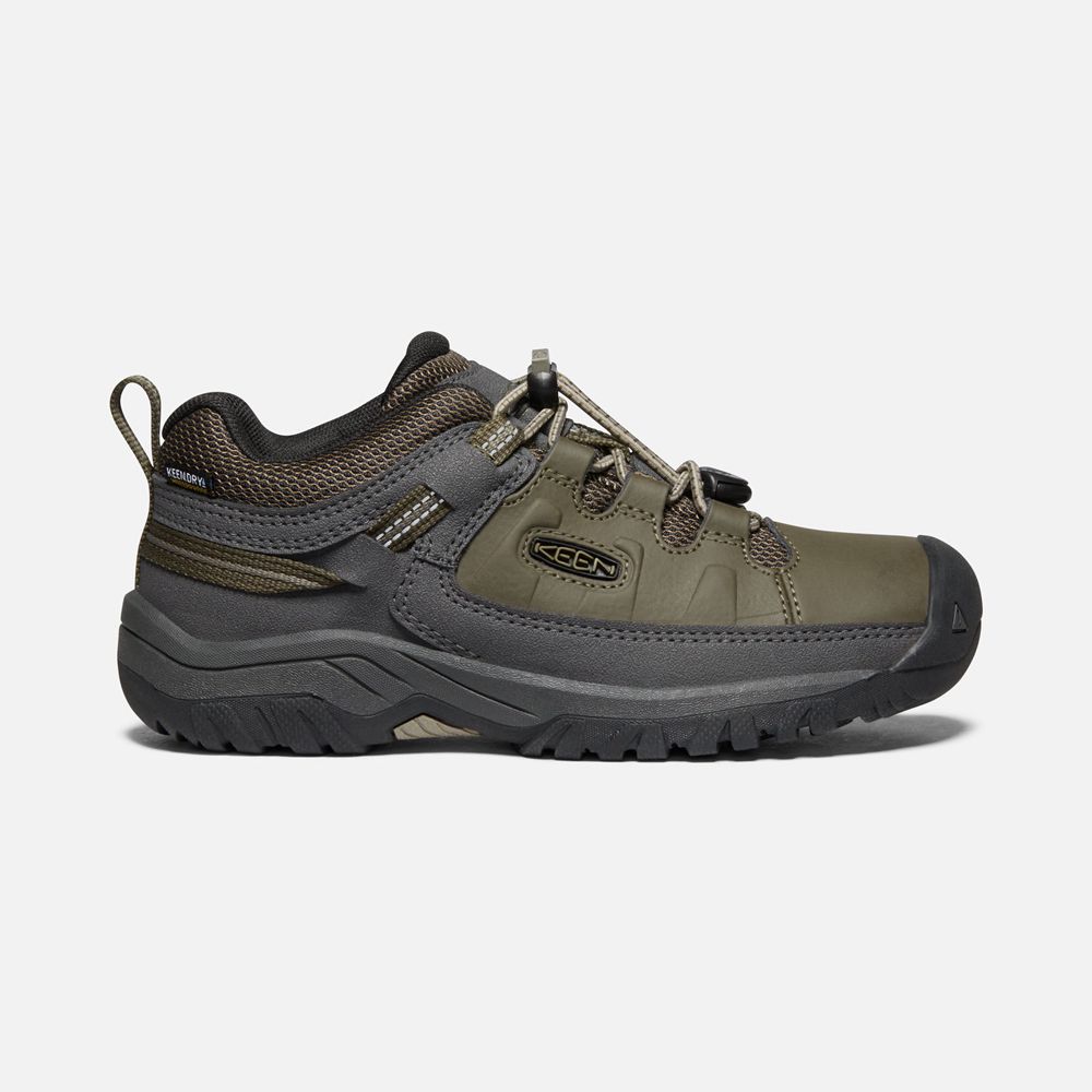 Pantofi Keen Romania Copii Masline Verzi Targhee Waterproof 6328-LKIYD